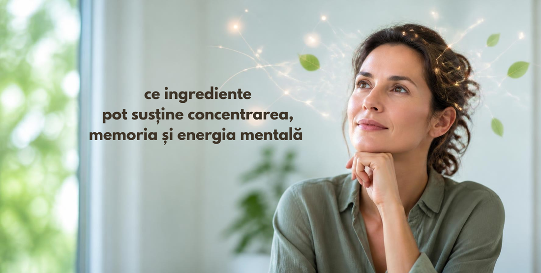 Suplimente pentru concentrare și memorie adulți – ce ingrediente să alegi