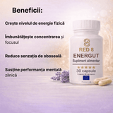 Energut – miniatură 3