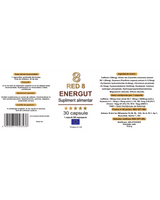 Energut – miniatură 5