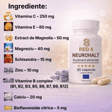 Neurohalt – miniatură 2